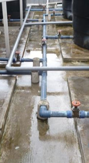 Plumbing Services